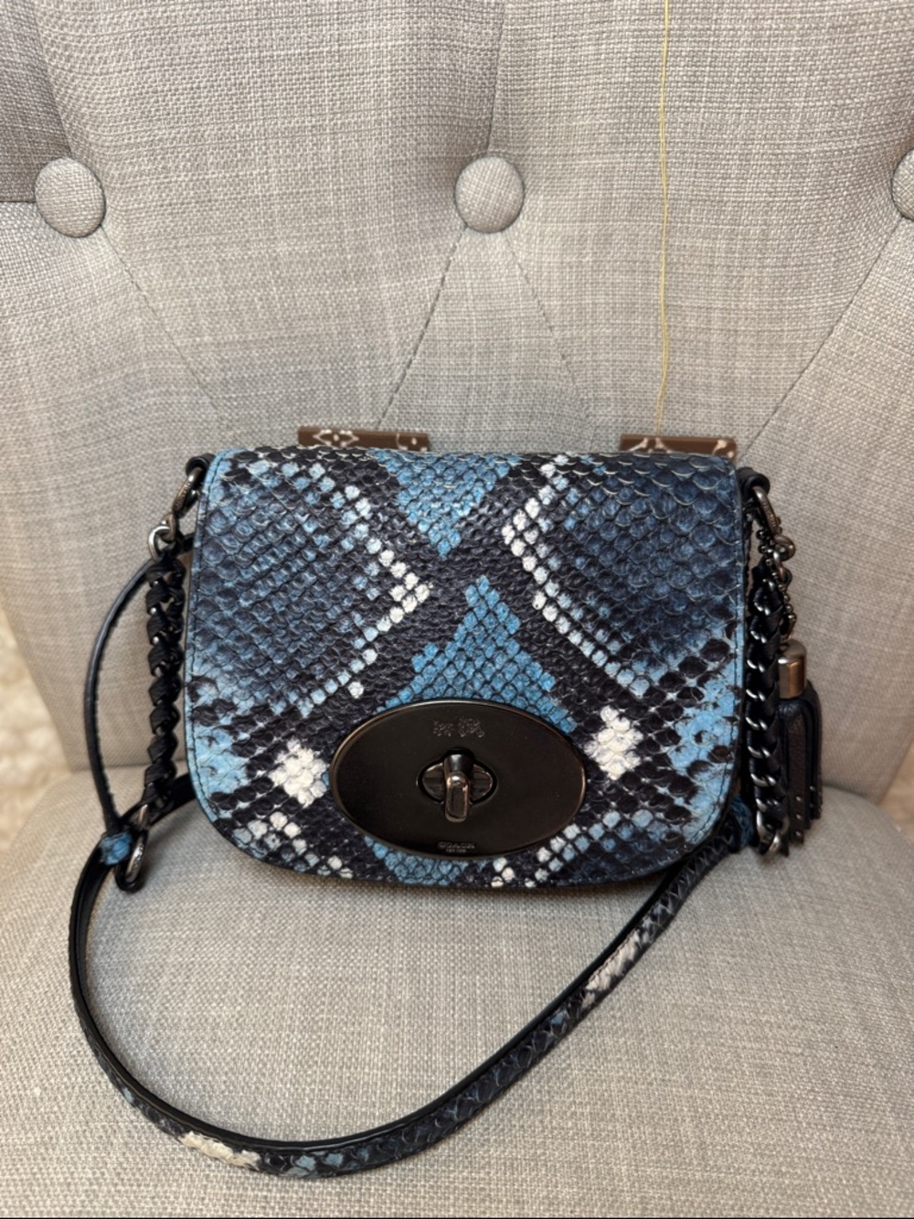 Coach Blue Snake-Print Crossbody Bag with Tassel